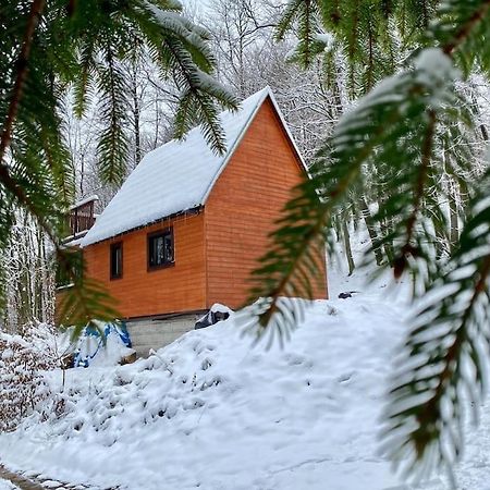 Willa Chata Pod Pindulou Rožnov pod Radhoštěm Zewnętrze zdjęcie